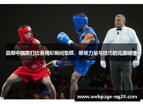 震撼中国散打比赛精彩瞬间集锦，感受力量与技巧的完美碰撞