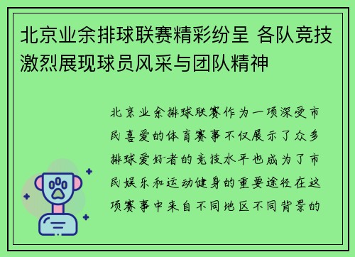 北京业余排球联赛精彩纷呈 各队竞技激烈展现球员风采与团队精神