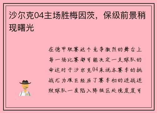 沙尔克04主场胜梅因茨，保级前景稍现曙光